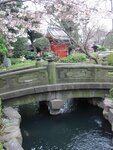 pic_08470.jpg