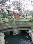 pic_08474.jpg