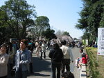 pic_08487.jpg