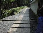 pic_08532.jpg