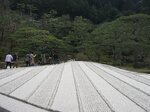 pic_08538.jpg