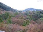 pic_08542.jpg