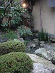 pic_08559.jpg