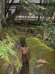 pic_08565.jpg