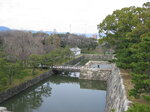 pic_08570.jpg