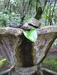 pic_08572.jpg