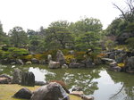 pic_08598.jpg