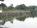 pic_08599.jpg