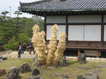 pic_08600.jpg
