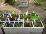 pic_08608.jpg