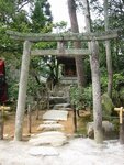 pic_08618.jpg
