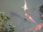 pic_08622.jpg
