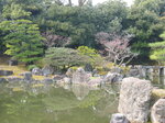 pic_08626.jpg