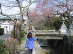 pic_08628.jpg