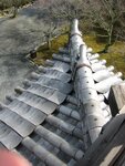 pic_08635.jpg