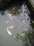 pic_08649.jpg