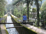pic_08653.jpg