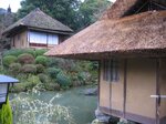 pic_08659.jpg