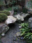pic_08668.jpg