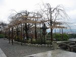 pic_08675.jpg