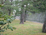 pic_08676.jpg