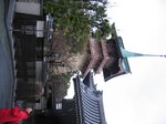 pic_08682.jpg