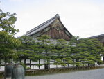 pic_08683.jpg