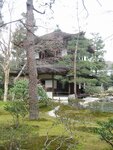 pic_08684.jpg