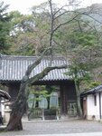 pic_08694.jpg