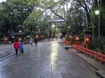 pic_08699.jpg