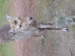 pic_08721.jpg