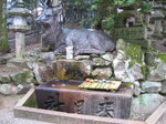 pic_08723.jpg