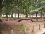 pic_08728.jpg