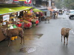 pic_08729.jpg