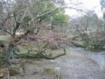 pic_08750.jpg