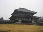 pic_08751.jpg
