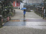 pic_08754.jpg
