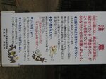 pic_08755.jpg