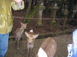 pic_08760.jpg