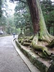 pic_08779.jpg