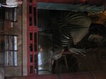 pic_08781.jpg