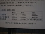 pic_08800.jpg