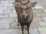 pic_08803.jpg