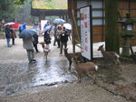 pic_08805.jpg