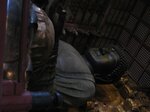 pic_08806.jpg