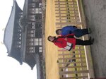 pic_08811.jpg