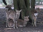 pic_08832.jpg