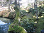 pic_08872.jpg