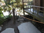 pic_08878.jpg