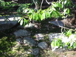 pic_08884.jpg